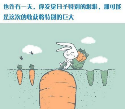 �Լ������8��˾���ĵ�