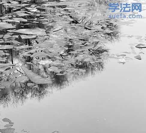 43ְսͨ