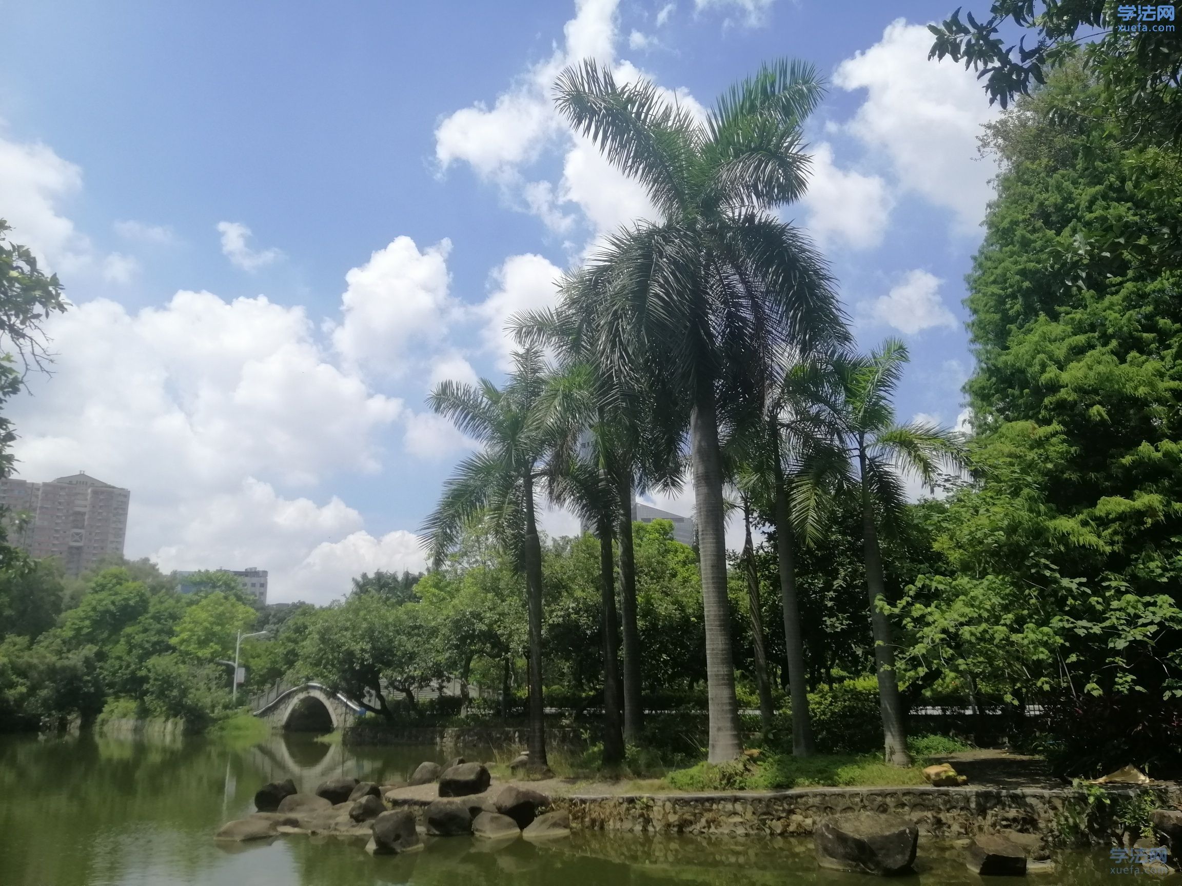 watermark,image_cGljLzIwMTgwNTE5L29zc18xNTI2NzMwODUwODUzXzQ0M18yNjRfNzUwLnBuZw==,t_50,g_se,x_20,y_20