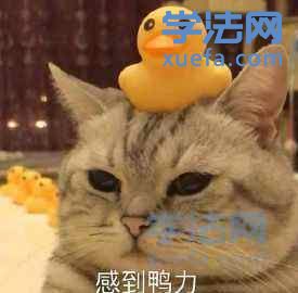 watermark,image_cGljLzIwMTgwNTE5L29zc18xNTI2NzMwODUwODUzXzQ0M18yNjRfNzUwLnBuZw==,t_50,g_se,x_20,y_20