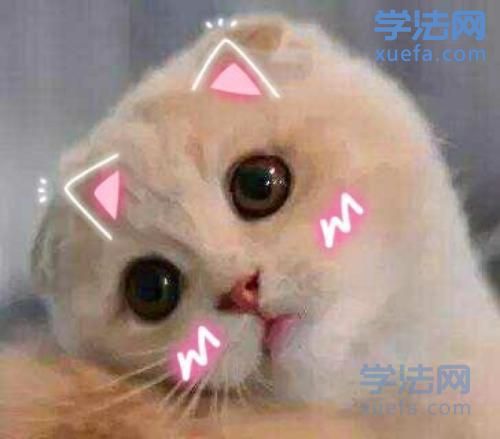 watermark,image_cGljLzIwMTgwNTE5L29zc18xNTI2NzMwODUwODUzXzQ0M18yNjRfNzUwLnBuZw==,t_50,g_se,x_20,y_20