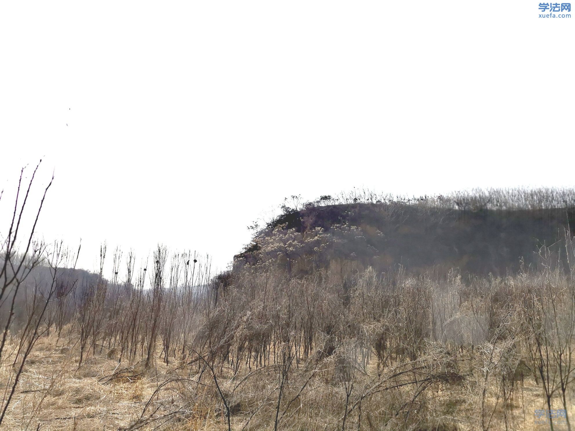 watermark,image_cGljLzIwMTgwNTE5L29zc18xNTI2NzMwODUwODUzXzQ0M18yNjRfNzUwLnBuZw==,t_50,g_se,x_20,y_20