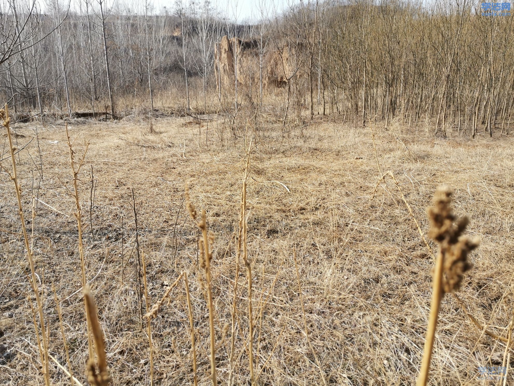 watermark,image_cGljLzIwMTgwNTE5L29zc18xNTI2NzMwODUwODUzXzQ0M18yNjRfNzUwLnBuZw==,t_50,g_se,x_20,y_20