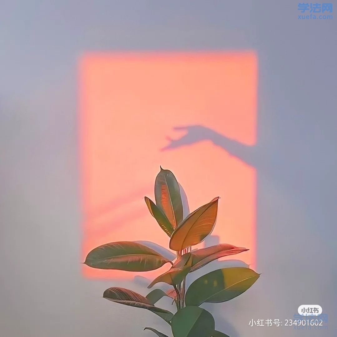 watermark,image_cGljLzIwMTgwNTE5L29zc18xNTI2NzMwODUwODUzXzQ0M18yNjRfNzUwLnBuZw==,t_50,g_se,x_20,y_20