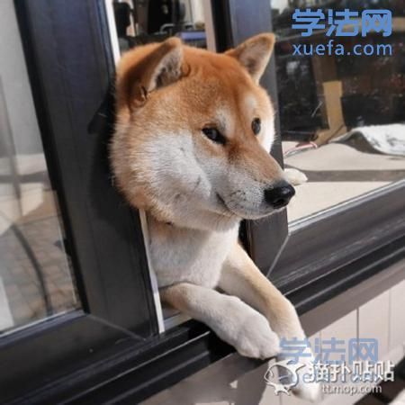 watermark,image_cGljLzIwMTgwNTE5L29zc18xNTI2NzMwODUwODUzXzQ0M18yNjRfNzUwLnBuZw==,t_50,g_se,x_20,y_20