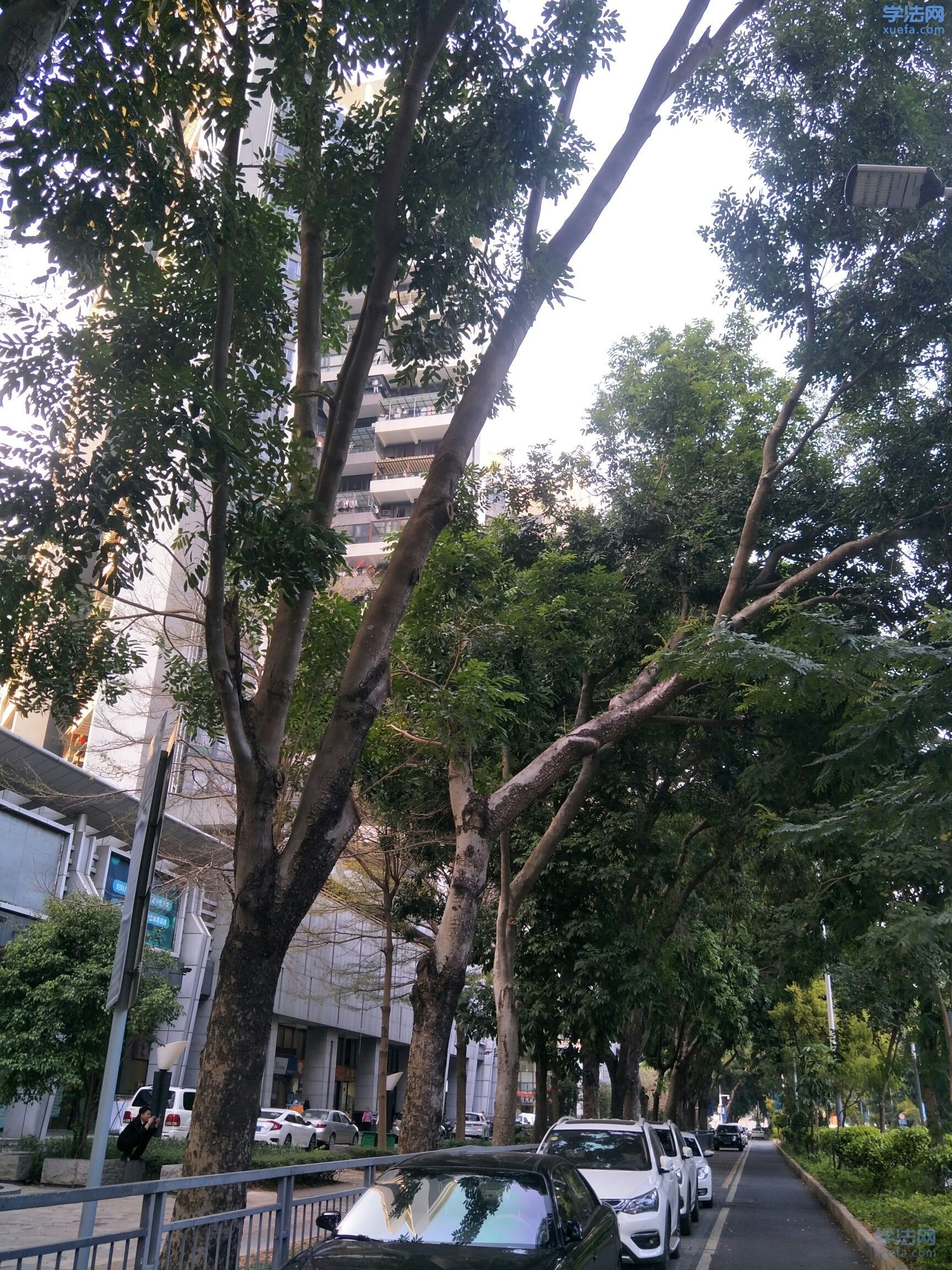 watermark,image_cGljLzIwMTgwNTE5L29zc18xNTI2NzMwODUwODUzXzQ0M18yNjRfNzUwLnBuZw==,t_50,g_se,x_20,y_20