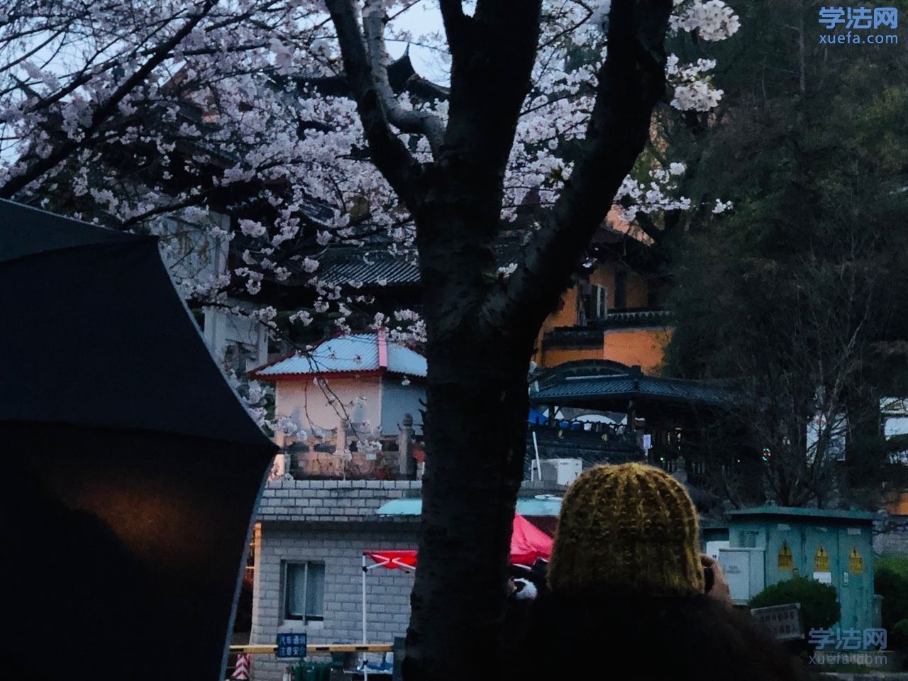 watermark,image_cGljLzIwMTgwNTE5L29zc18xNTI2NzMwODUwODUzXzQ0M18yNjRfNzUwLnBuZw==,t_50,g_se,x_20,y_20