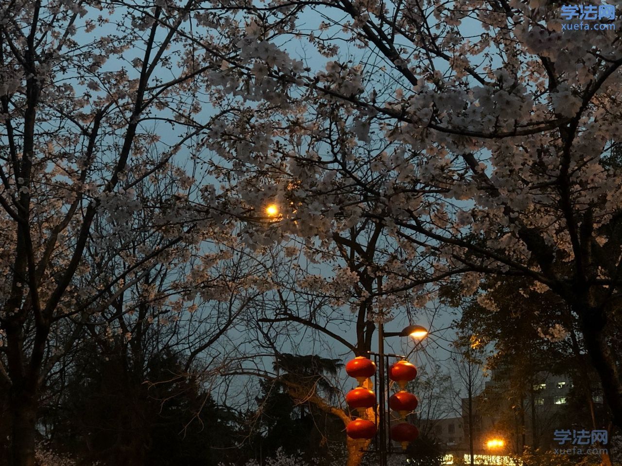 watermark,image_cGljLzIwMTgwNTE5L29zc18xNTI2NzMwODUwODUzXzQ0M18yNjRfNzUwLnBuZw==,t_50,g_se,x_20,y_20