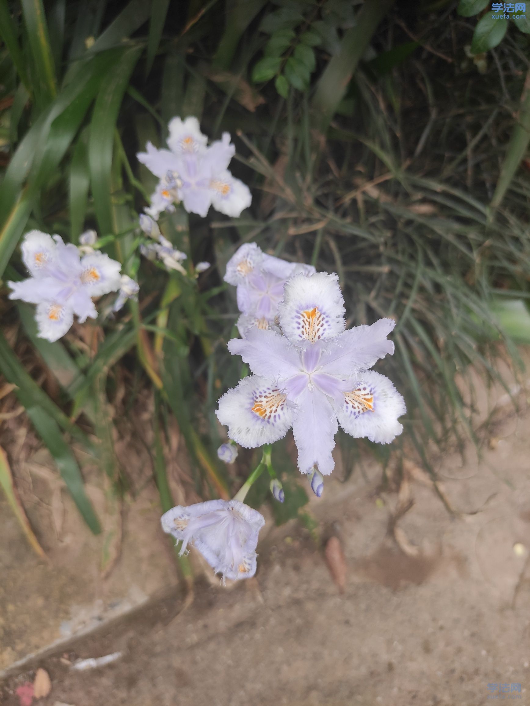 watermark,image_cGljLzIwMTgwNTE5L29zc18xNTI2NzMwODUwODUzXzQ0M18yNjRfNzUwLnBuZw==,t_50,g_se,x_20,y_20