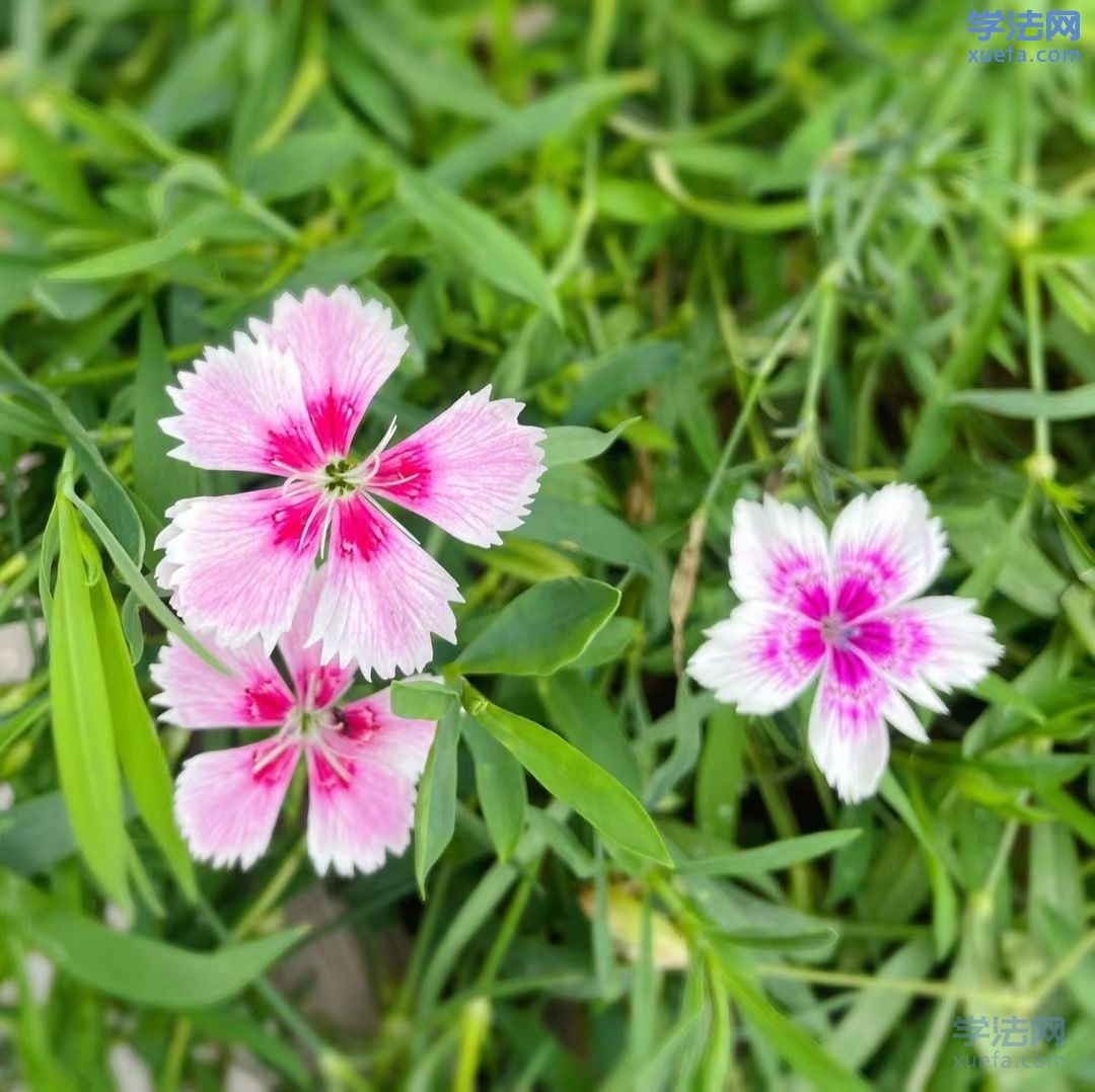 watermark,image_cGljLzIwMTgwNTE5L29zc18xNTI2NzMwODUwODUzXzQ0M18yNjRfNzUwLnBuZw==,t_50,g_se,x_20,y_20