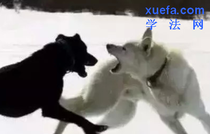 ˾6ָϰغ