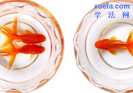 ĽЩɹʦ