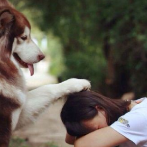 ��ְ�Ƿ���431��˾�������ַθ�