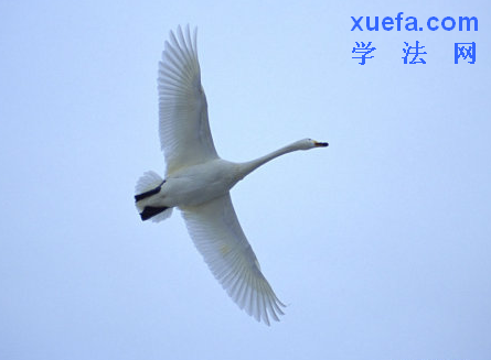 תеʦ1룬10