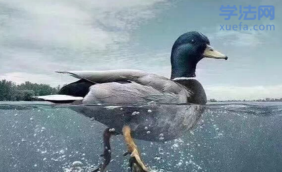 ͨҲǾõ