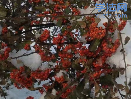 ҵ2018꣺˷+