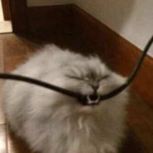 ���ڷ���Ԫ��ĸ�ϰ����������